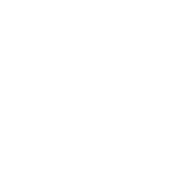 Musikwerkstatt Wädenswil
